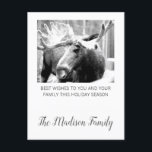 Moose In Winter Snow Christmas Greeting<br><div class="desc">Moose in snow photograph Christmas holiday greeting with your family name added in a trendy script typography. Personalize with your family name.</div>