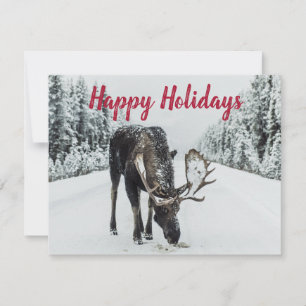 Moose in Winter Snow Wilderness Guide Holiday Card Feestdagenkaart