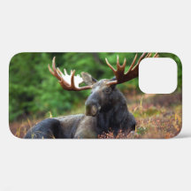 Moose iPhone 12 Hoesje