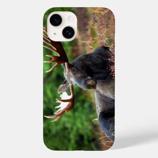 Moose iPhone 14 Coque (Verso)