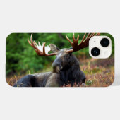 Moose iPhone 14 Coque (Verso (horizontal))