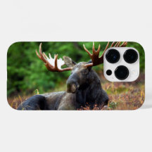 Moose iPhone 14 Pro Coque