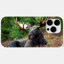 Moose iPhone 14 Pro Max Coque