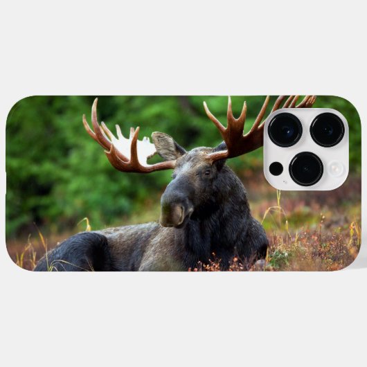 Moose iPhone 14 Pro Max Coque (Verso (horizontal))