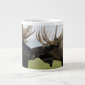 Moose Jumbo Beker (Voorkant)