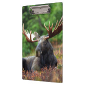 Moose Klembord (Links)