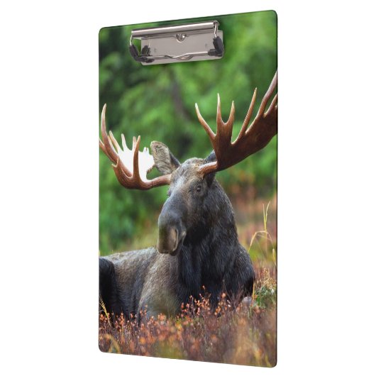 Moose Klembord (Links)