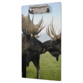 Moose Klembord (Links)