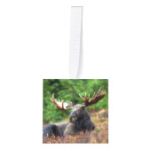 Moose Kubus Ornament (Voorkant)