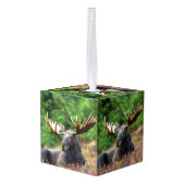 Moose Kubus Ornament (Achter hoekig)