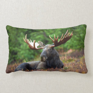Moose Kussen
