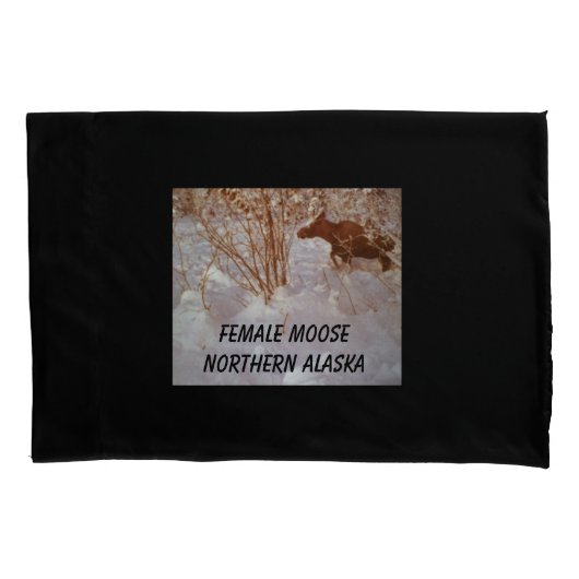 Moose Kussensloop (Voorkant)