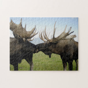 Moose Legpuzzel
