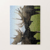 Moose Legpuzzel (Verticaal)
