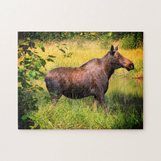 Moose Legpuzzel (Horizontaal)