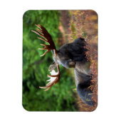 Moose Magneet (Verticaal)