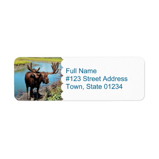 Moose Mailing Label (Voorkant)