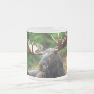 Moose Matglas Koffiemok