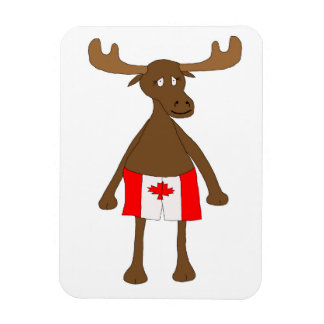 Moose met Canadese boxers Magneet