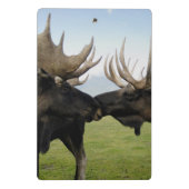 Moose Mini Klembord (Achterkant)