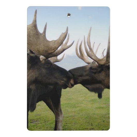 Moose Mini Klembord (Achterkant)