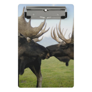 Moose Mini Klembord