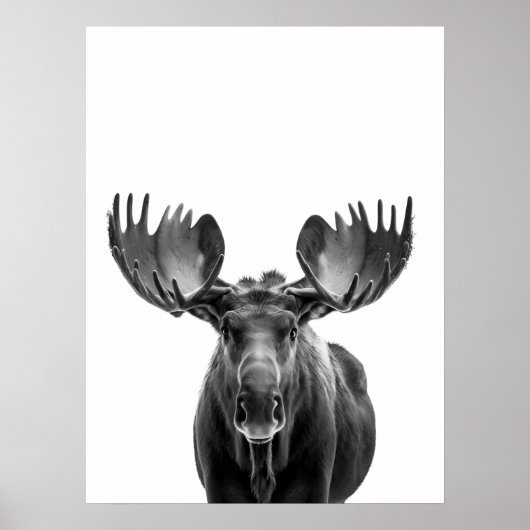 Moose Modern Portret zwart wit Poster (Voorkant)