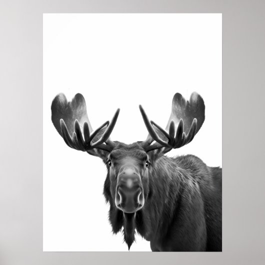 Moose Modern Portret zwart wit Poster (Voorkant)