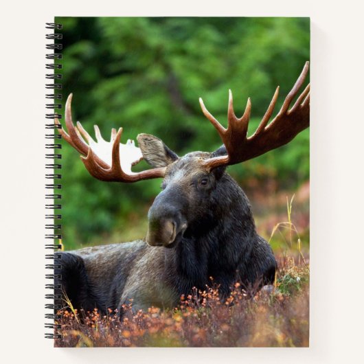 Moose Notitieboek (Voorkant)