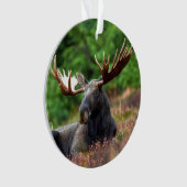 Moose Ornament (voorkant)
