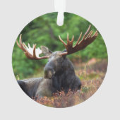 Moose Ornament (achterkant)