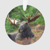 Moose Ornament (voorkant)