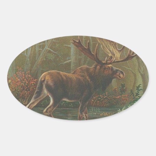 Moose Ovale Sticker (Voorkant)