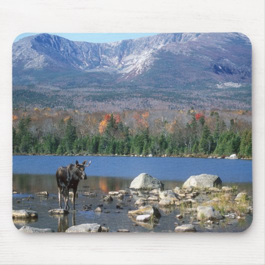 Moose Pad Muismat (Voorkant)