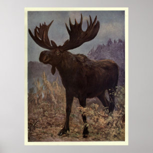 Moose Painting (1909) Poster