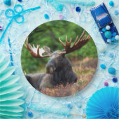 Moose Papieren Bordje (Feest)