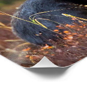 Moose Perfect Poster (Hoek)