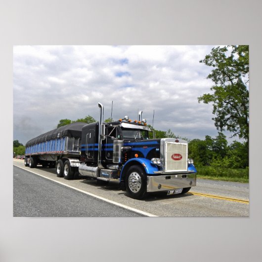 Moose Peterbilt 359 Poster (Voorkant)