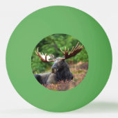 Moose Pingpongballen (Achterkant)