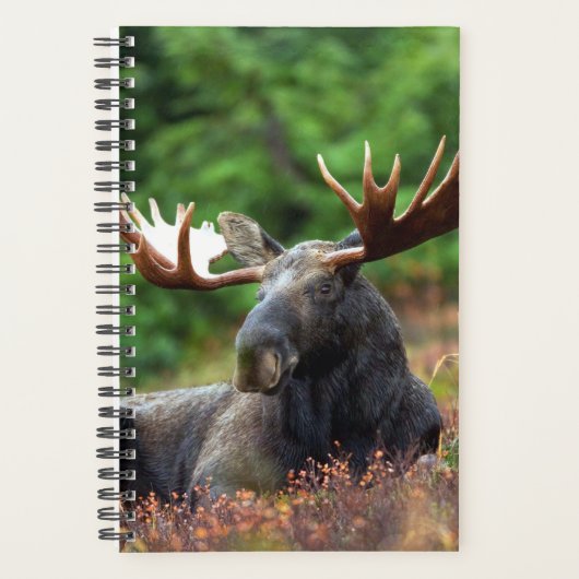 Moose Planner (Voorkant)