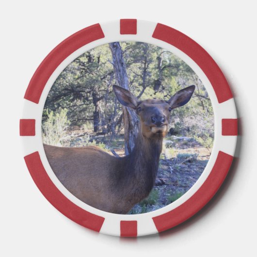 Moose Poker Chips (Voorkant)
