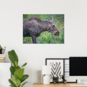 Moose Portret Poster (Thuiskantoor)
