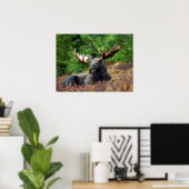 Moose Poster (Thuiskantoor)