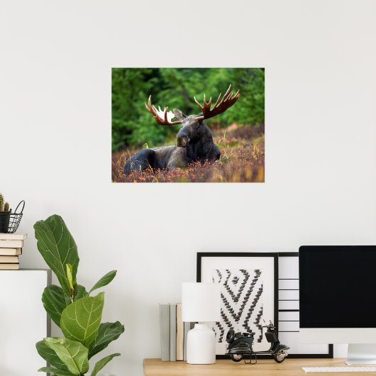 Moose Poster (Thuiskantoor)