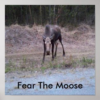 Moose Poster