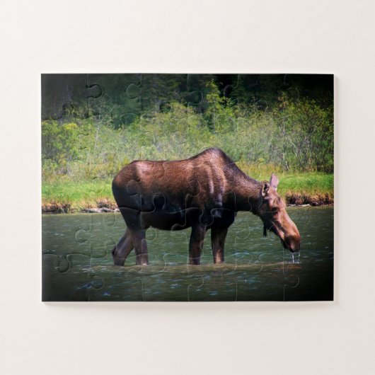 Moose Puzzle (Horizontal)
