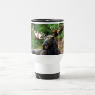 Moose Reisbeker