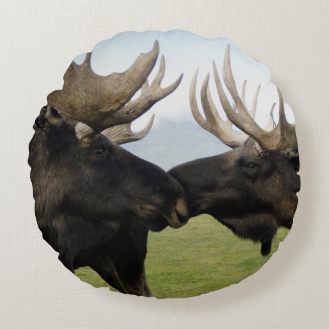 Moose Rond Kussen (Voorkant)