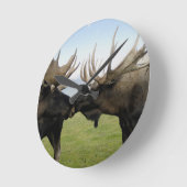 Moose Ronde Klok (Hoek)