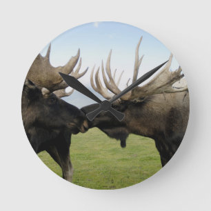 Moose Ronde Klok